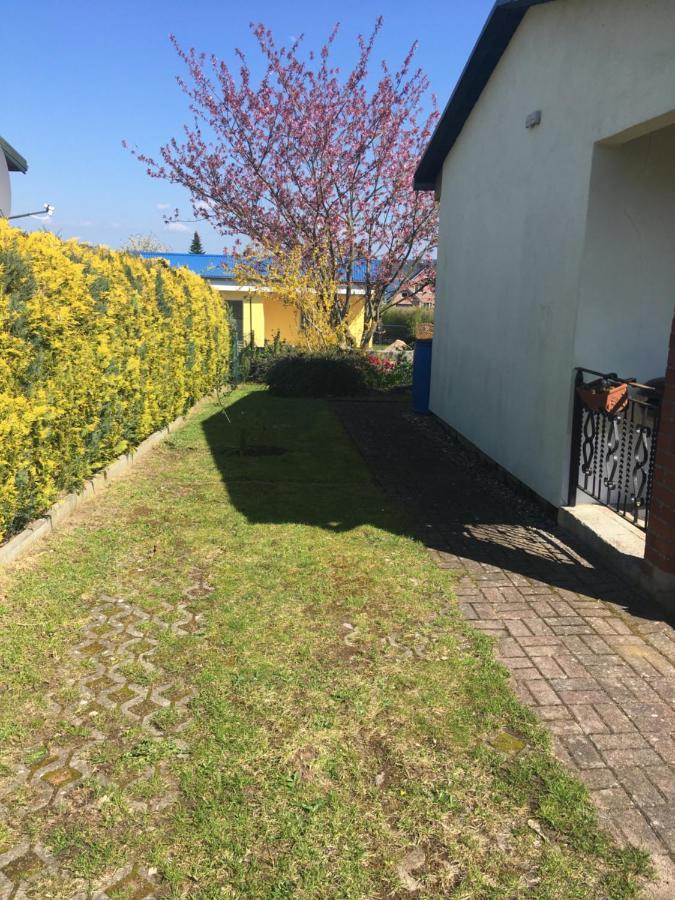 Ferienhaus Am Neuklostersee エクステリア 写真